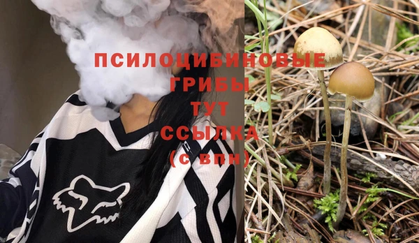 2c-b Балабаново
